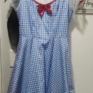 Blue Gingham "Dorothy" Style Dress with Red Bows